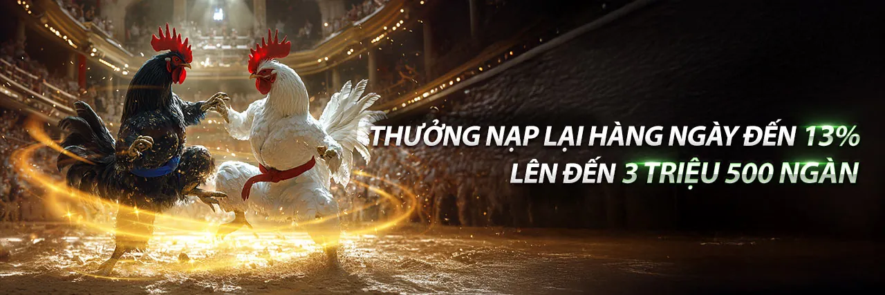 đá gà trực tiếp hôm nay đá gà trực tiếp thomo - Trận đấu kịch tính